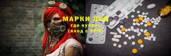 гашик Алексеевка